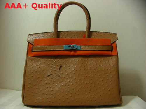 Hermes Ostrich Birkin 35 Light Coffee Replica