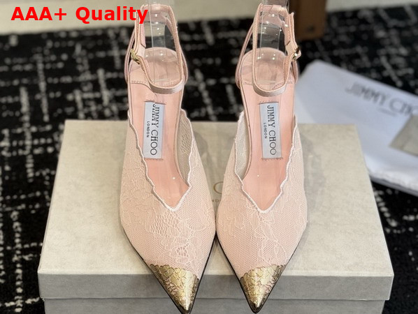 Jimmy Choo Faiz 100 Rose Jimmy Choo Lace Pumps with Metal Lace Detail Replica