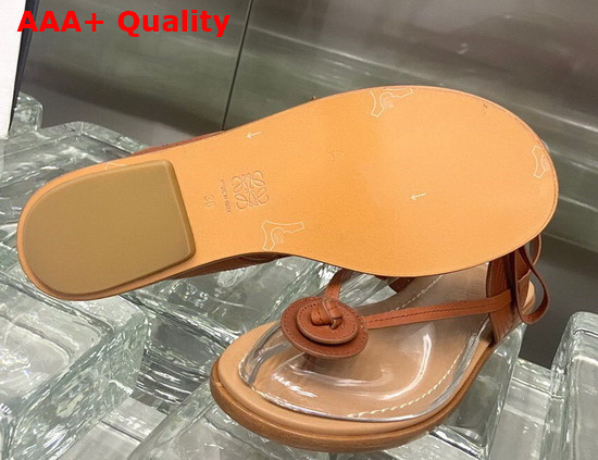Loewe Disc Sandal in Brown Calfskin Replica