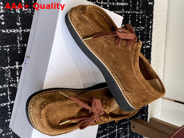 Loewe Faro Lace Up in Suede Calfskin Brown Replica