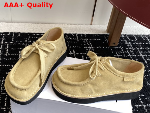 Loewe Faro Lace Up in Suede Calfskin Sahara Replica
