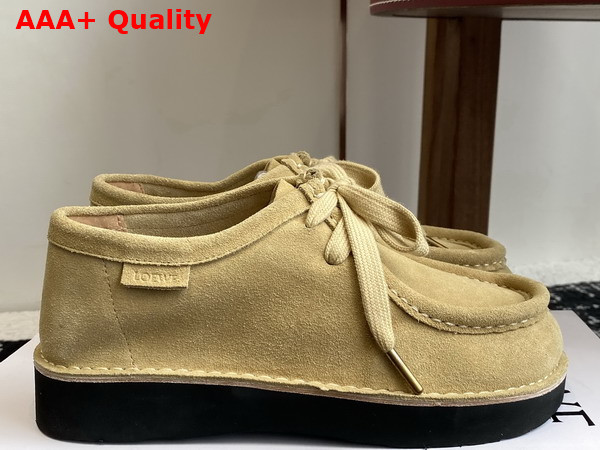 Loewe Faro Lace Up in Suede Calfskin Sahara Replica