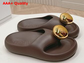 Loewe Foam Pebble Sandal in Shitake Replica