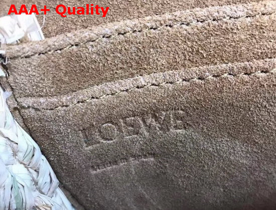 Loewe Gate Mini Bag Orange Soft Calf Leather and Natural Rafia Replica