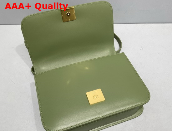 Loewe Goya Bag in Silk Calfskin Avocado Green Replica