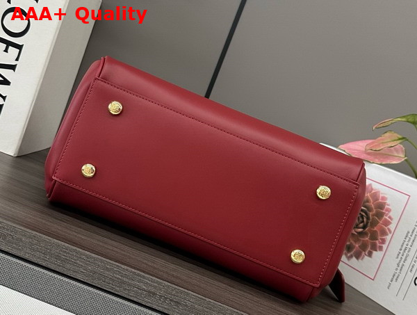 Loewe Medium Madrid Bag in Burnt Red Supple Calfskin Replica