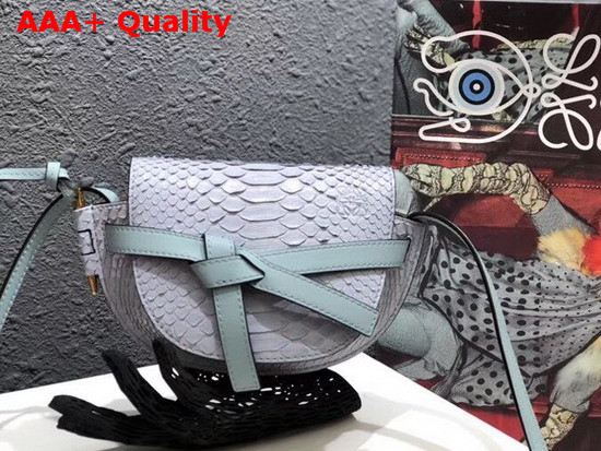 Loewe Mini Gate Bag Pale Blue Python Replica