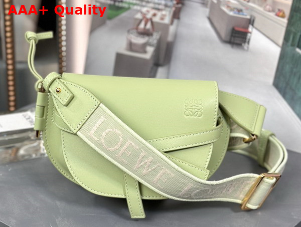 Loewe Mini Gate Dual Bag in Light Pale Green Soft Calfskin and Jacquard Replica