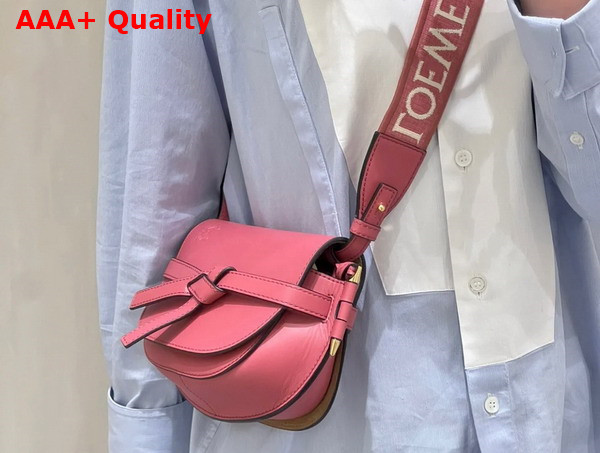 Loewe Mini Gate Dual Bag in Plumrose Soft Calfskin and Jacquard Replica