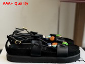 Loewe Pebble Beads Fussbett Sandal in Black Nappa Lambskin Replica