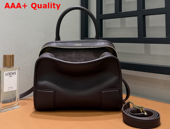 Loewe Small Amazona 180 Bag in Dark Chestnut Soft Calfskin Replica