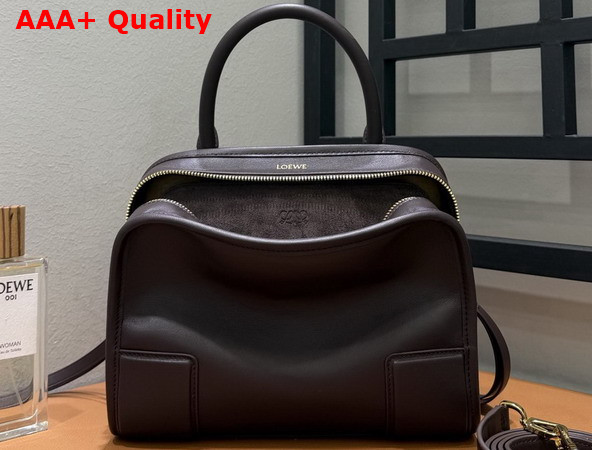 Loewe Small Amazona 180 Bag in Dark Chestnut Soft Calfskin Replica