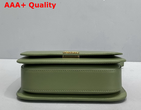 Loewe Small Goya Bag in Silk Calfskin Avocado Green Replica
