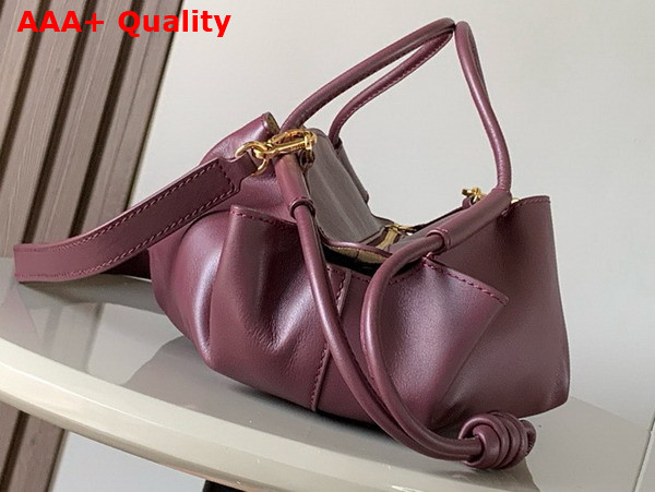 Loewe Small Paseo Bag in Burgundy Shiny Nappa Calfskin Replica