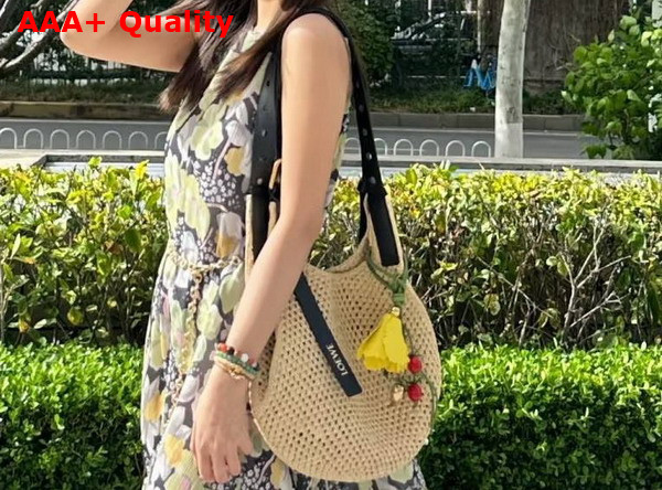 Loewe Small Punch Hole Hobo in Raffia and Calfskin Natural Replica