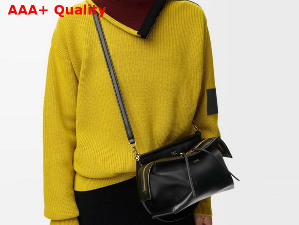 Loewe Small Whisker Bag in Glazed Calfskin Black Replica
