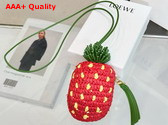 Loewe Strawberry Coin Purse in Raffia and Classic Calfskin Red Replica