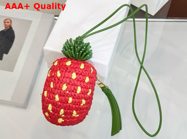 Loewe Strawberry Coin Purse in Raffia and Classic Calfskin Red Replica