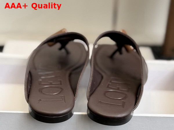 Loewe Toggle Flat Sandal in Dark Chestnut Shiny Smooth Calfskin Replica