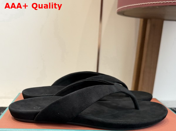 Loro Piana Ida Sandal in Black Suede Goatskin Replica