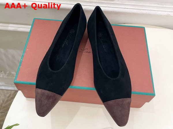 Lora Piana Rebecca Ballet Flat Suede Goatskin Black and Chocolate Replica