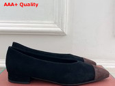Lora Piana Rebecca Ballet Flat Suede Goatskin Black and Chocolate Replica