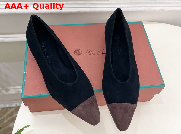 Lora Piana Rebecca Ballet Flat Suede Goatskin Black and Chocolate Replica