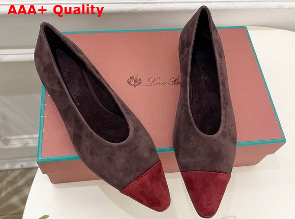 Lora Piana Rebecca Ballet Flat Suede Goatskin Chocolate and Oxblood Replica