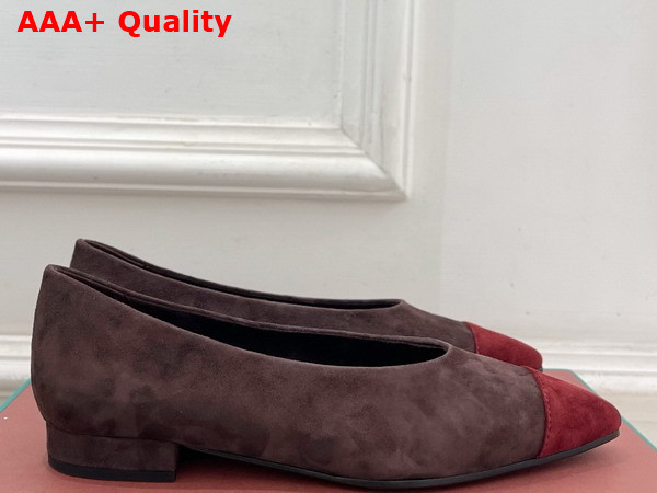 Lora Piana Rebecca Ballet Flat Suede Goatskin Chocolate and Oxblood Replica