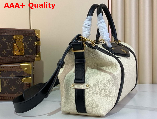 LV Biker MM Gray Lambskin Leather Replica