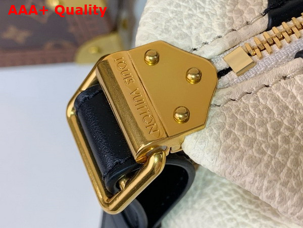 LV Biker MM Gray Lambskin Leather Replica