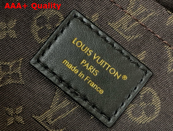 LV Biker MM Gray Lambskin Leather Replica