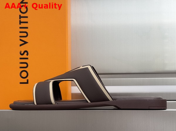 LV Oasis Mule in Brown Grained Calf Leather 1AIZPF Replica