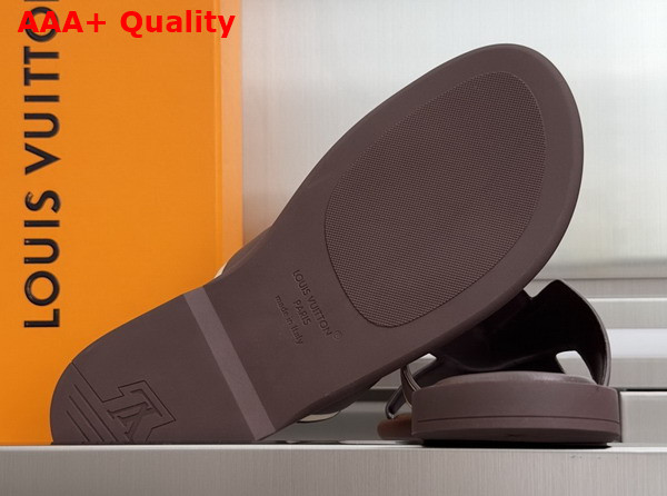 LV Oasis Mule in Brown Grained Calf Leather 1AIZPF Replica