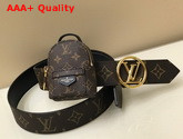 LV Palm Spring 35mm Belt Monogram Canvas and Plain Calf Leather Lining M0353U Replica