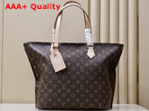 Louis Vuitton All in PM Monogram Coated Canvas M47028 Replica
