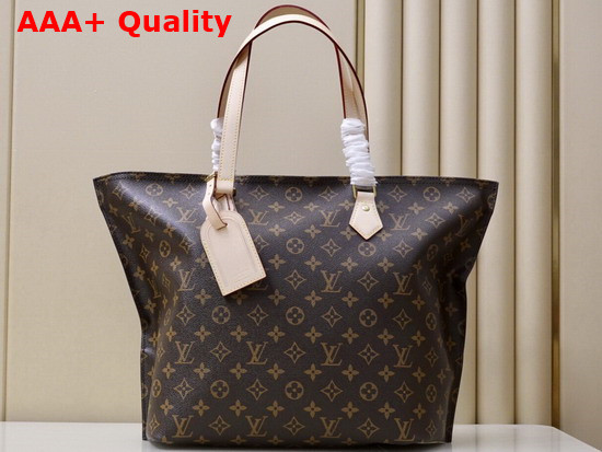 Louis Vuitton All in PM Monogram Coated Canvas M47028 Replica