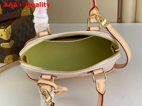 Louis Vuitton Alma BB Peach Damier Giant Coated Canvas N40516 Replica
