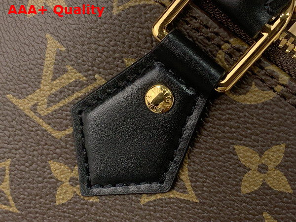 Louis Vuitton Alma Trunk PM Monogram Canvas M27216 Replica