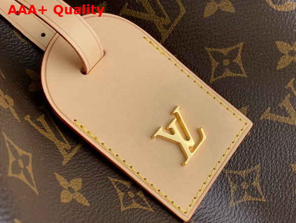 Louis Vuitton Atlantis GM Handbag in Monogram Coated Canvas M46817 Replica