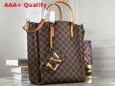 Louis Vuitton Belmont MM Damier Coated Canvas and Safran Smooth Cowhide Trim Replica
