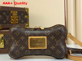 Louis Vuitton Bone Wearable Wallet in Monogram Coated Canvas M12615 Replica