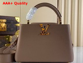 Louis Vuitton Capucines BB Handbag in Smokey Brown Taurillon Leather with Leopard LV Replica