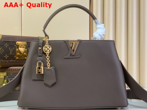 Louis Vuitton Capucines MM Souple Chocolate Brown Calfskin Leather M12927 Replica