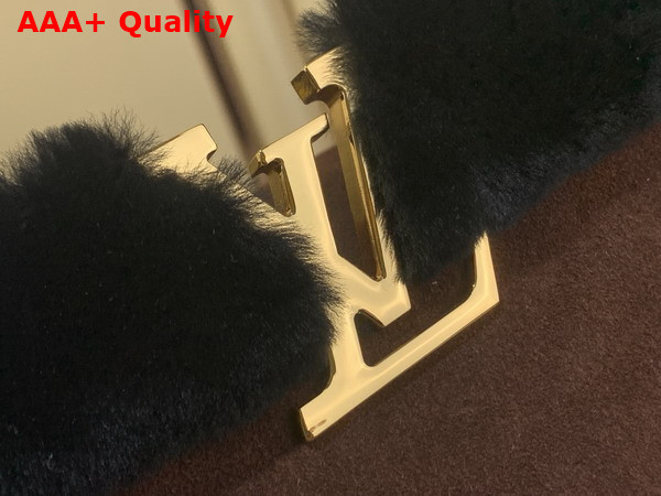 Louis Vuitton Capucines MM Souple Chocolate Suede Calfskin Leather and Shearling M26323 Replica