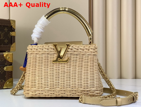 Louis Vuitton Capucines Mini Gold Rattan and Cowhide Leather M28544 Replica