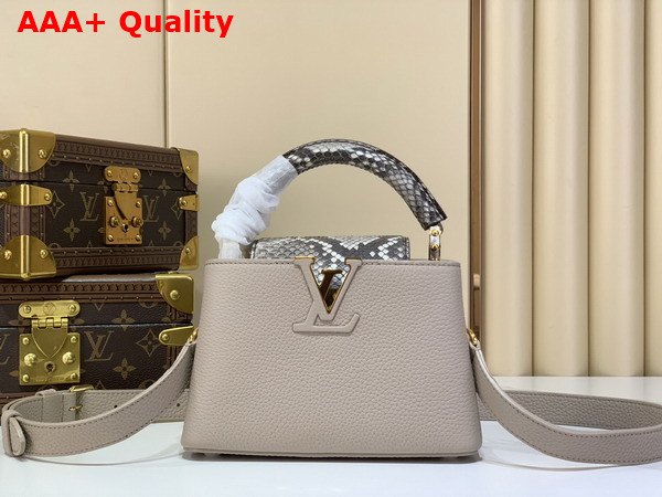 Louis Vuitton Capucines Mini Handbag Galet Gray Taurillon and Python Leather N85517 Replica