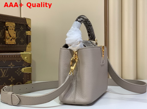 Louis Vuitton Capucines Mini Handbag Galet Gray Taurillon and Python Leather N85517 Replica