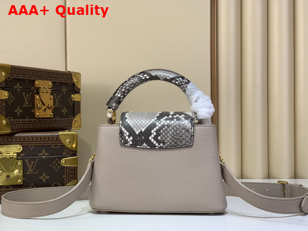 Louis Vuitton Capucines Mini Handbag Galet Gray Taurillon and Python Leather N85517 Replica