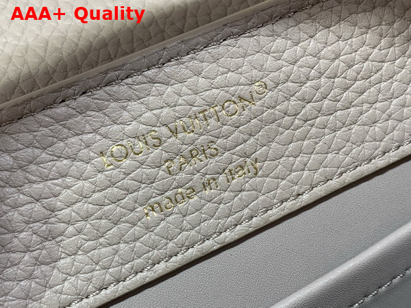 Louis Vuitton Capucines Mini Handbag Galet Gray Taurillon and Python Leather N85517 Replica